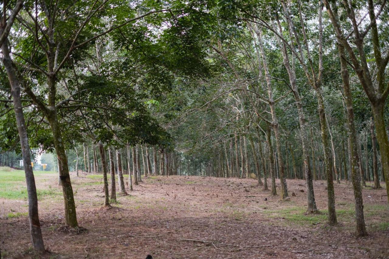 The Rubber Escape, Melaka Konuk evi Dış mekan fotoğraf
